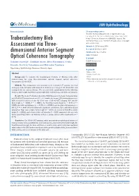 Trabeculectomy Bleb Assessment Via Three-Dimensional Anterior Segment Optical Coherence Tomography