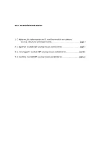 WGCNA Module Annotation