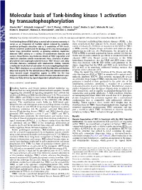 Molecular Basis of Tank-Binding Kinase 1 Activation by Transautophosphorylation