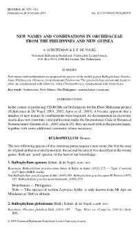 New Names and Combinations in Orchidaceae from the Philippines and New Guinea