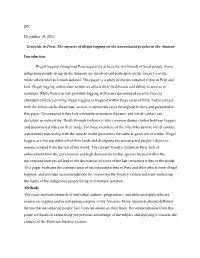 The Impacts of Illegal Logging on the Uncontacted Peoples in the Amazon