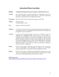 Project Examples for SGP Strategic Guidance Paper