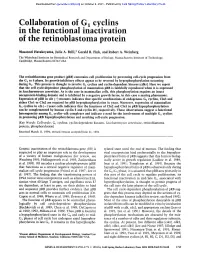 Collaboration of G 1 Cyclins in the Functional Inactivation of the Retinoblastoma Protein