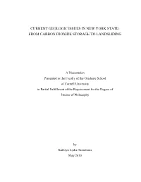Current Geologic Issues in New York State: from Carbon Dioxide Storage to Landsliding