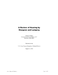 A Review of Hearing by Sturgeon and Lamprey