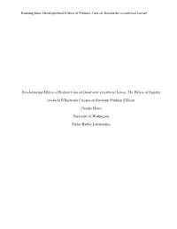 Developmental Effects of Predator Cues on Dendraster Excentricus Larvae