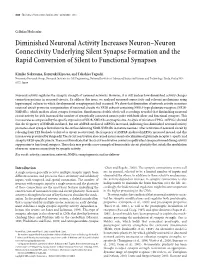 Diminished Neuronal Activity Increases Neuron–Neuron Connectivity Underlying Silent Synapse Formation and the Rapid Conversion of Silent to Functional Synapses