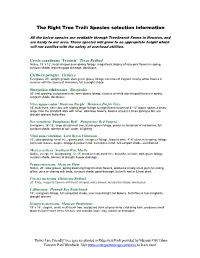 The Right Tree Trail: Species Selection Information