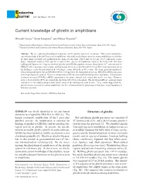 Current Knowledge of Ghrelin in Amphibians