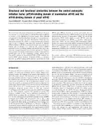 Structural and Functional Similarities Between the Central Eukaryotic