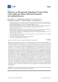 Advances in Therapeutic Targeting of Cancer Stem Cells Within the Tumor Microenvironment: an Updated Review