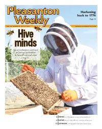 Hive Minds: Local Beekeepers Continue To