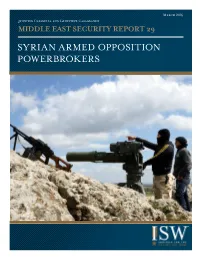 Middle East Security Report 29