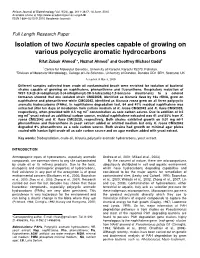 Isolation of Two Kocuria Species Capable of Growing on Various Polycyclic Aromatic Hydrocarbons