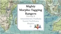 Mighty Morpheme Tagging Rangers
