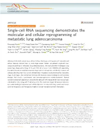 Single-Cell RNA Sequencing Demonstrates the Molecular and Cellular Reprogramming of Metastatic Lung Adenocarcinoma