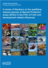 (Spas) in the Firth of Forth and Development Related Influences