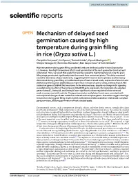 Mechanism of Delayed Seed Germination Caused by High