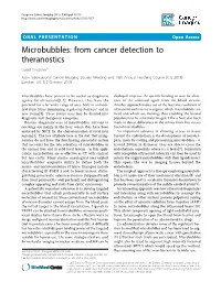 Microbubbles: from Cancer Detection to Theranostics
