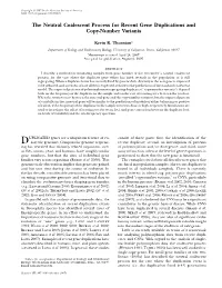 The Neutral Coalescent Process for Recent Gene Duplications and Copy-Number Variants
