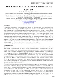 Age Estimation Using Cementum