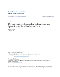 Development of a Primary Ion Column for Mass Spectrometry-Based Surface Analysis Raul A