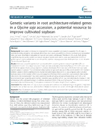 Genetic Variants in Root Architecture-Related Genes in A