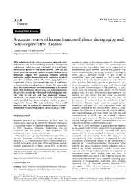A Concise Review of Human Brain Methylome During Aging and Neurodegenerative Diseases