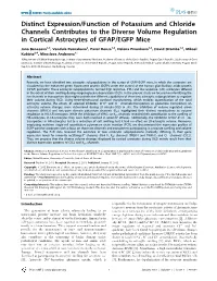 Distinct Expression/Function of Potassium and Chloride Channels Contributes to the Diverse Volume Regulation in Cortical Astrocytes of GFAP/EGFP Mice