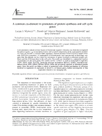 A Common Cis-Element in Promoters of Protein Synthesis and Cell Cycle Genes