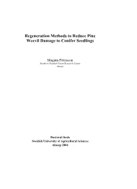 Regeneration Methods to Reduce Pine Weevil Damage to Conifer Seedlings
