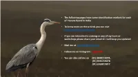 • the Following Pages Have Some Identification Markers for Each of Herons Found in India