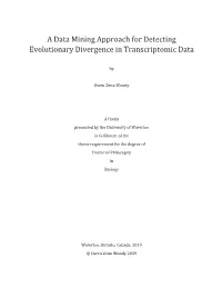 A Data Mining Approach for Detecting Evolutionary Divergence in Transcriptomic Data