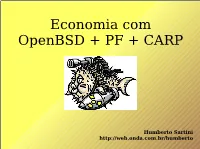 Economia Com Openbsd + PF + CARP
