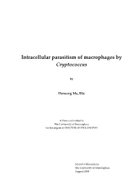 Intracellular Parasitism of Macrophages by Cryptococcus