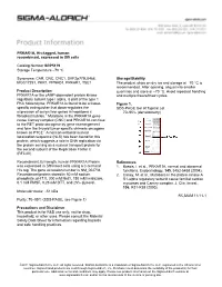 PRKAR1A, His-Tagged, Human Recombinant, Expressed in Sf9 Cells
