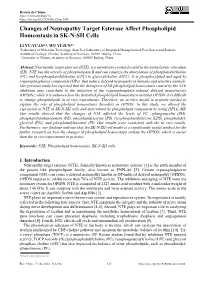Changes of Neuropathy Target Esterase Affect Phospholipid Homeostasis in SK-N-SH Cells