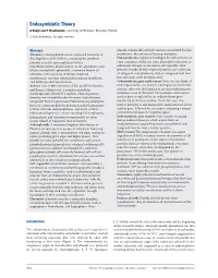 Endosymbiotic Theory.Pdf