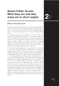 Global Public Goods: What They Are and Why Many Are in Short Supply