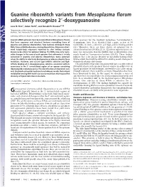 Guanine Riboswitch Variants from Mesoplasma Florum Selectively Recognize 2؅-Deoxyguanosine