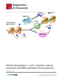 Histone Deacetylases 1 and 2 Maintain S-Phase Chromatin and DNA Replication Fork Progression Bhaskara Et Al