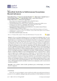 Microbial Activity in Subterranean Ecosystems: Recent Advances