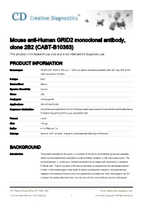 Mouse Anti-Human GRID2 Monoclonal Antibody, Clone 2B2 (CABT-B10363) This Product Is for Research Use Only and Is Not Intended for Diagnostic Use