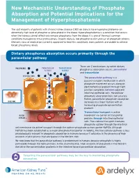 New Mechanistic Understanding of Phosphate Absorption and Potential Implications for the Management of Hyperphosphatemia