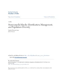 Stenocarpella Maydis: Identification, Management, and Population Diversity Martha P