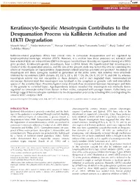 Keratinocyte-Specific Mesotrypsin Contributes to the Desquamation