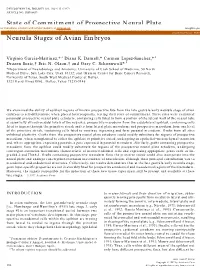 State of Commitment of Prospective Neural Plate And