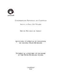 Numerical Quenches of Disorder in the Bose-Hubbard Model