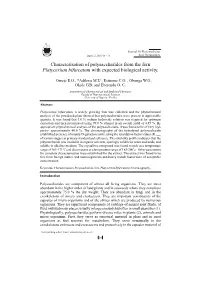 Platycerium Bifurcatum with Expected Biological Activity