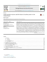 Small Modular Reactors and the Future of Nuclear Power in the United States